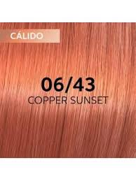 WELLA SHINEFINITY