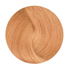 FANOLA Color – Professional Hair Colour Range