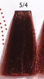 Alter Ego Techno Fruit Color